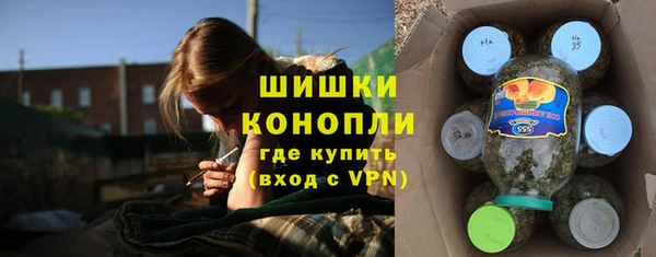 молекула духа Медвежьегорск