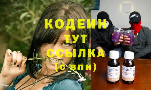 шишки Мегион