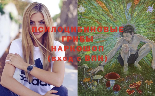 молекула духа Новочеркасск