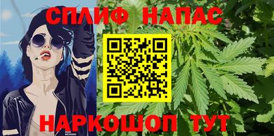 гидра Балахна