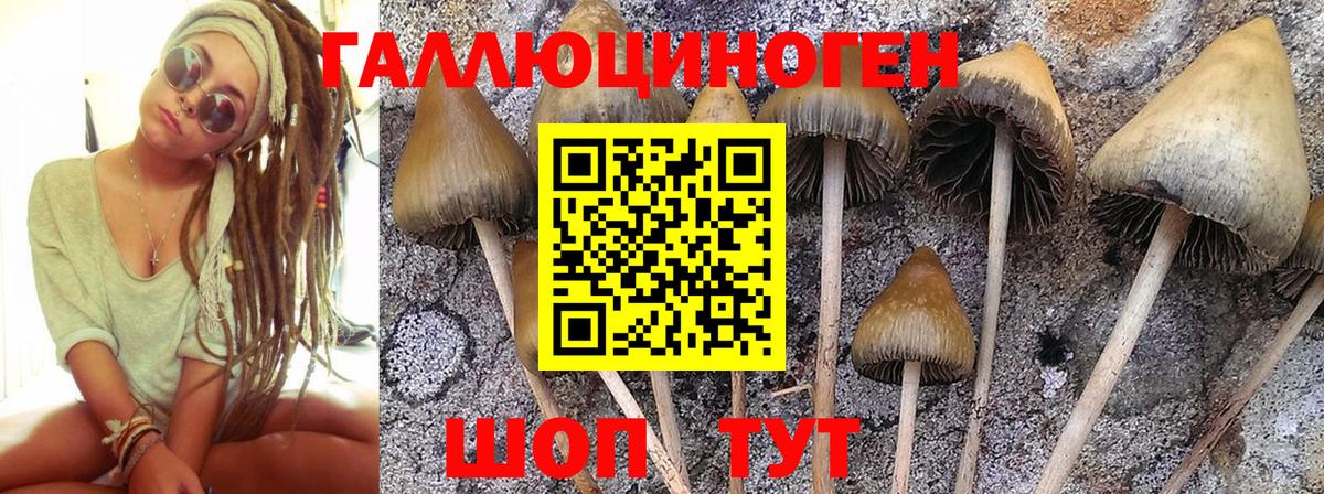 Галлюциногенные грибы Magic Shrooms Владикавказ