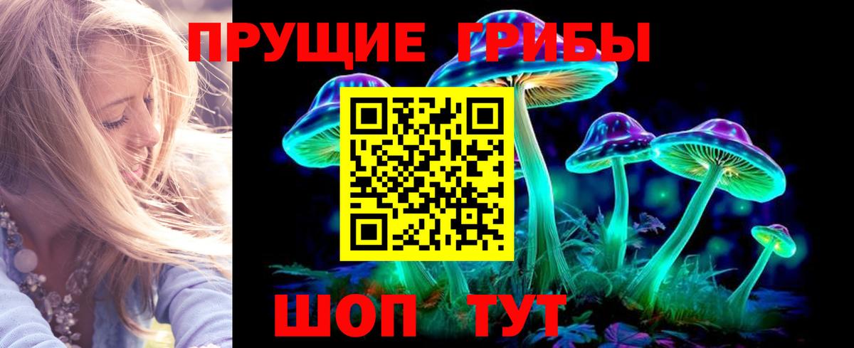 Псилоцибиновые грибы MAGIC MUSHROOMS  Вход с VPN  Владикавказ  Галлюциногенные грибы GOLDEN TEACHER 