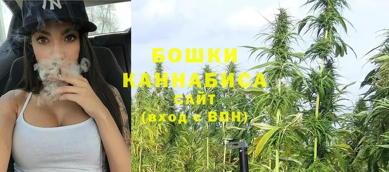 где найти наркотики  Владикавказ  Конопля Ganja 