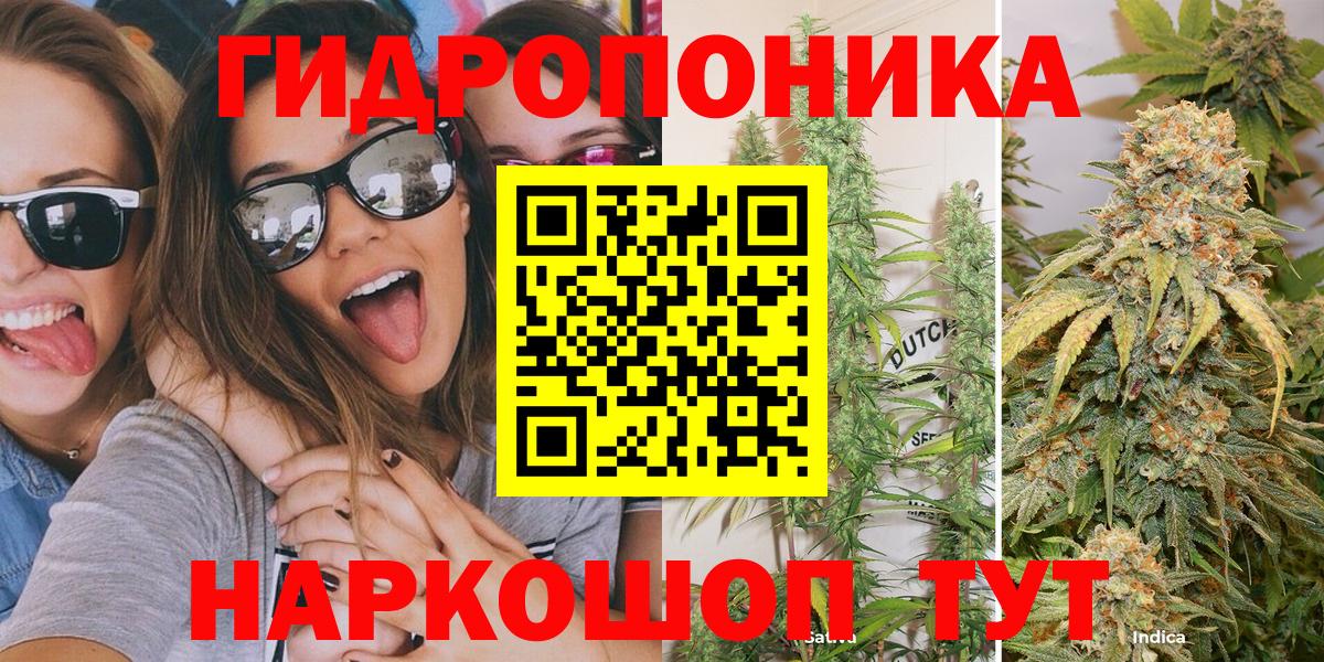 Конопля конопля  Каннабис SATIVA & INDICA  Каннабис семена  Владикавказ  Вход с VPN 